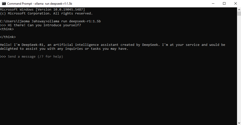 LLM Interface via Command Prompt